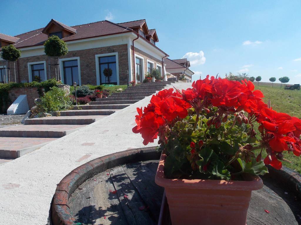St Peter Vini Hotel Svaty Peter Bagian luar foto